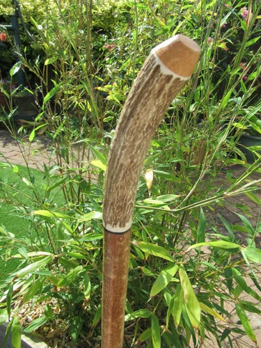 Hand crafted hazel - crafted, stagshorn
