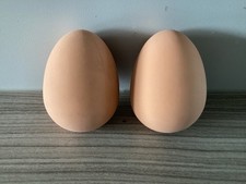 Two Practical Joke Imitation Realistic Looking Eggs - Unbreakable and Fun