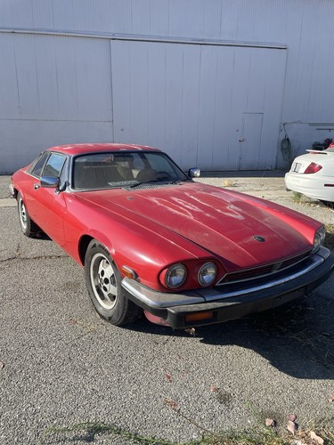 1983 jaguar xjs - 1983,