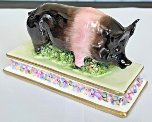 Michael sutty fine - sutty, pig