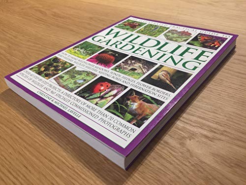 The illustrated practical - the,