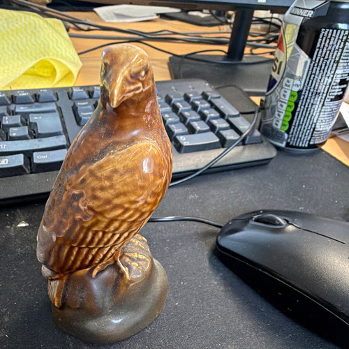Beswick peregrine falcon - peregrine,