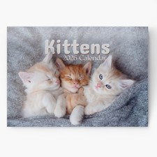 2026 Kittens Cats Calendar Wall Monthly Planner Family Home Organiser