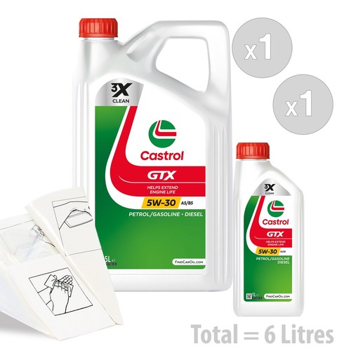 Car engine oil - engine, service