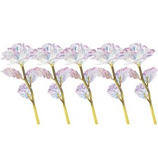 Rose Colorful Rainbow