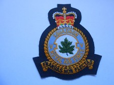 V   RAF  SQUADRON    crest