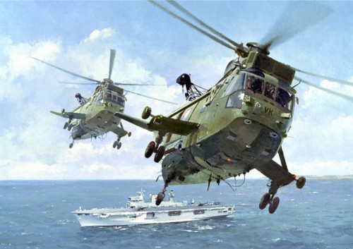 Westland sea king hms - king,