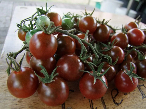 Tomato cherry brown - brown, berry