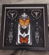Gothic Framed Butterflies