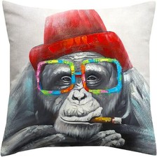 Colourful Chimpanzee Monkey