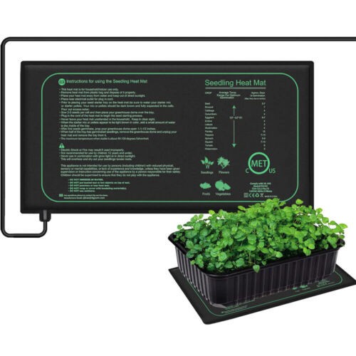 Seedling heat mat plant - seedling,