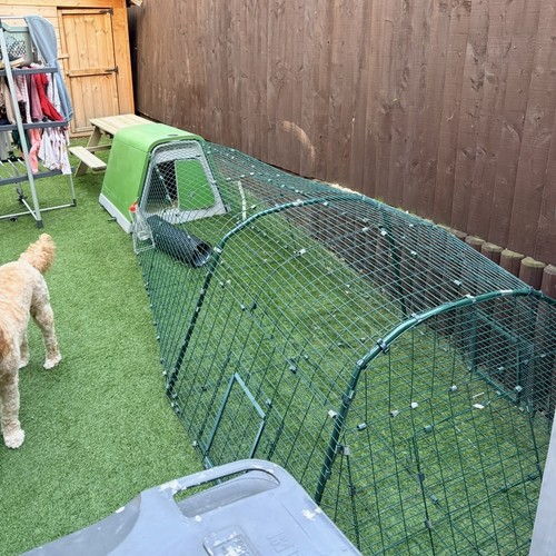 Omlet eglu rabbit - rabbit, hutch