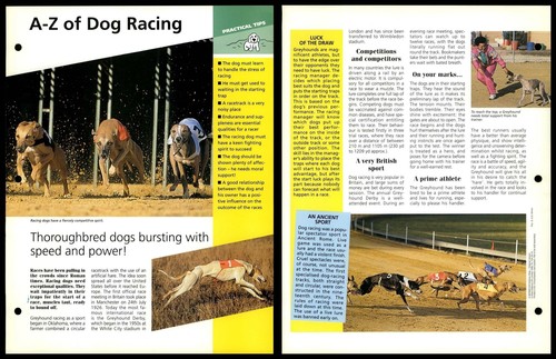 Dog racing tips - a-z,