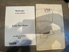 Sales Particular Lime Tree