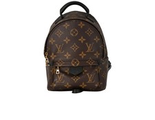 Louis Vuitton Palm Springs Mini Backpack Backpack Canvas Brown