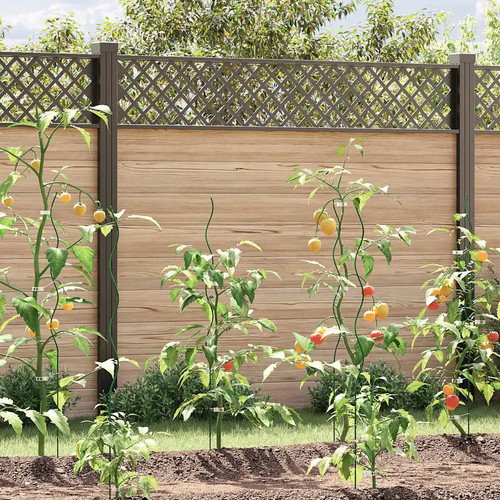Walplus spiral plant - spiral,