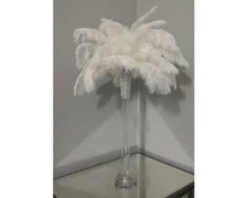 16" Tall Ostrich Feather