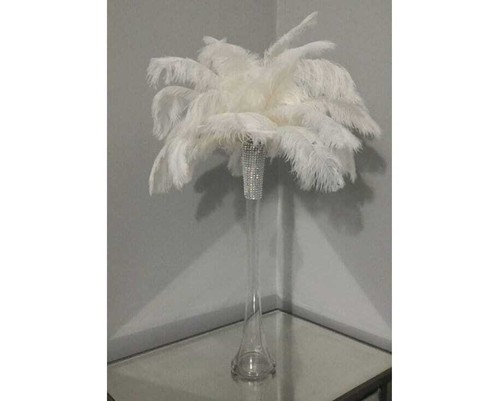 Tall ostrich feather - ostrich,