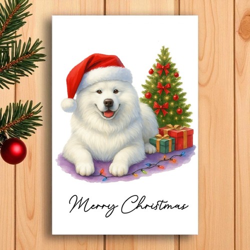 Samoyed dog christmas - dog,