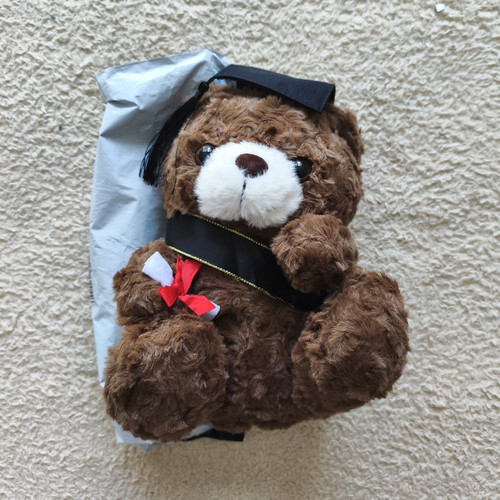Small brown plush teddy bear - small,