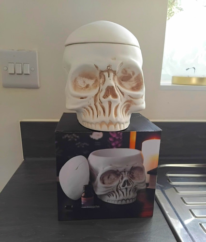 White ceramic skull - white, light