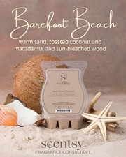 Scentsy Barefoot Beach OOS Wax