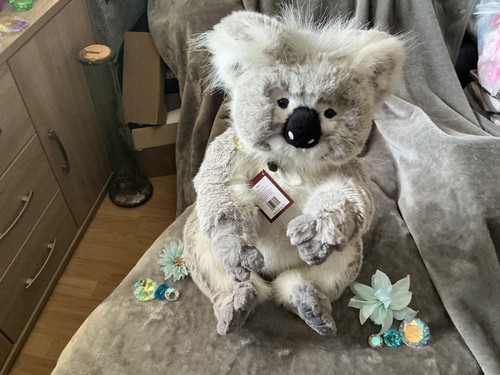Charlie bears gorgeous glen - charlie,
