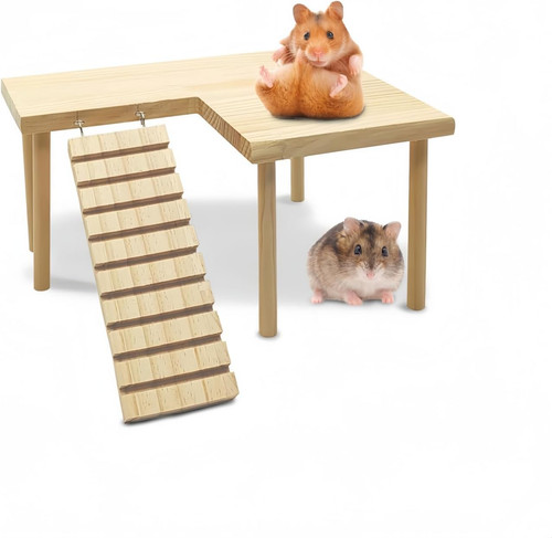 Hamster platform with - hamster, platform，with