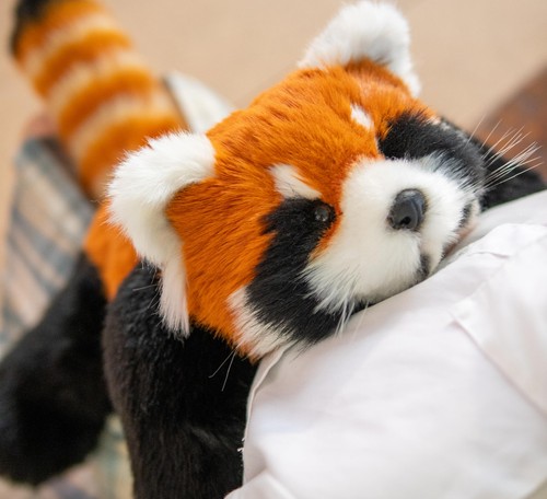 Chongker breathing stuffed - chongker,