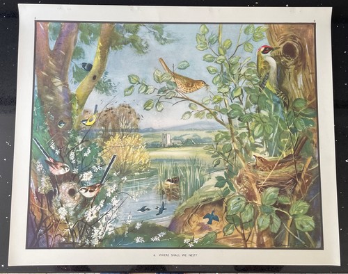 Vintage 1950s enid blyton - vintage,