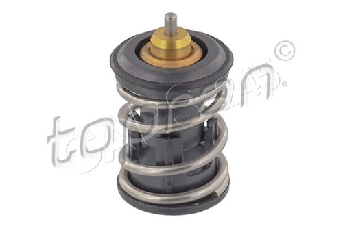 Coolant thermostat fits - fits, vw