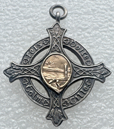 Dublin irish silver medal - dublin,