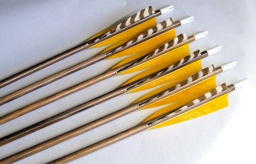 Matched wood arrows - , 31"