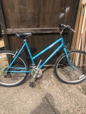 Adult Bike Raleigh Vixen