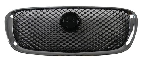 Jaguar radiator grille - jaguar,