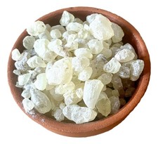 Gum dammar damar tree resin - gum,