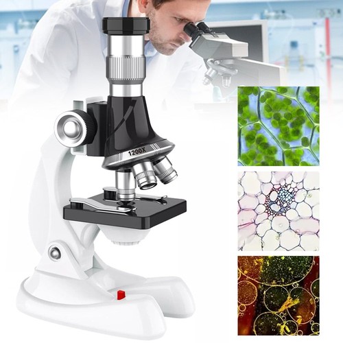 Microscope for kids beginners - for,