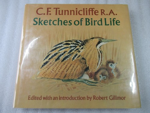Sketches bird life c - bird, f