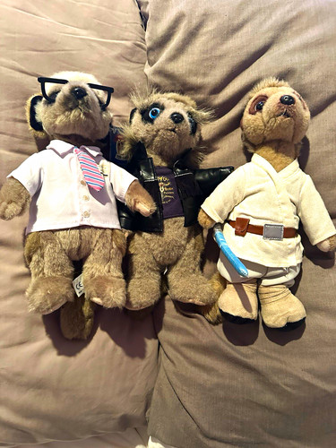 Meerkovo meerkat plush soft - meerkat,
