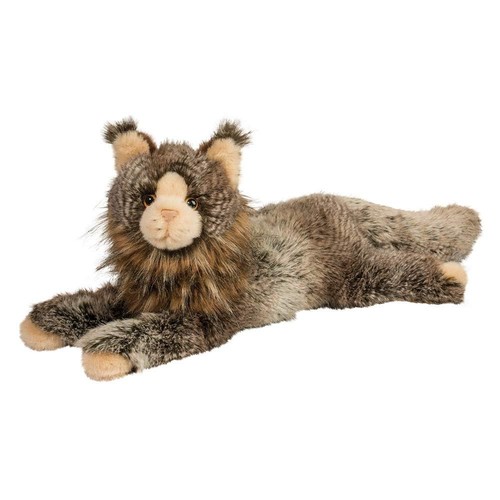 Douglas oscar maine coon - maine, cat