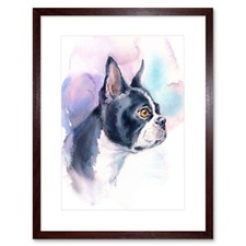 Dog Boston Terrier Watercolour