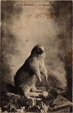Old postcard La Marmotte
