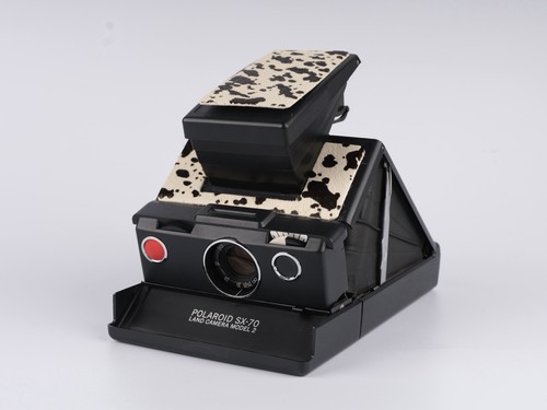 Polaroid model 2 600 - polaroid,