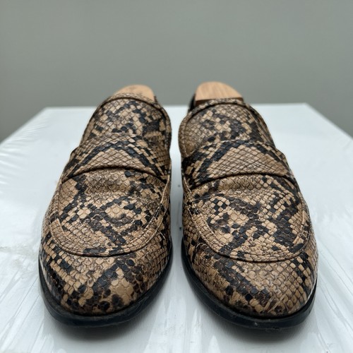 Zara comfort animal - animal, print