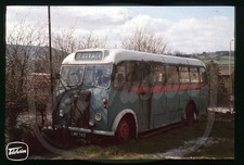 Original Bus Slide - ex