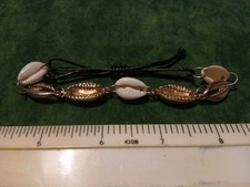 Gold And White Coloured Shell