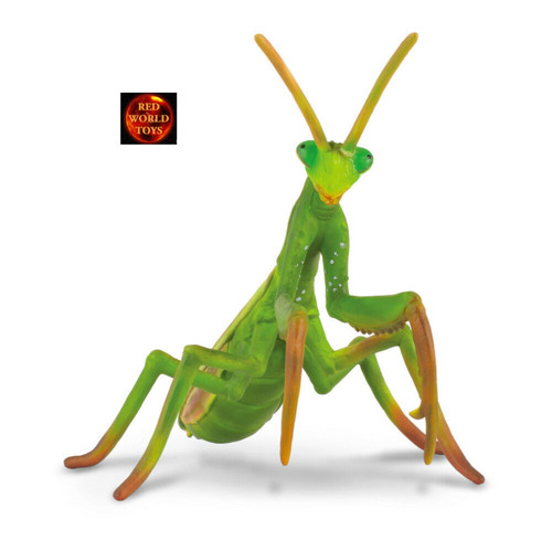 Praying mantis insect toy - praying,