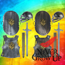 Kids 5 Piece Knight Armour Sword Helmet King Arthur Child Fancy Dress Toy Set Re