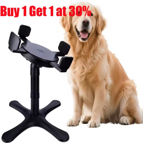 Single stand elevated dog bowl - single,