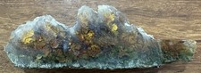 Natural Forest Moss Agate